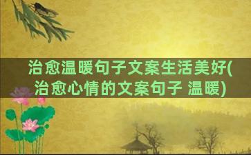 治愈温暖句子文案生活美好(治愈心情的文案句子 温暖)